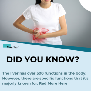 The liver has over 500 functions in the body